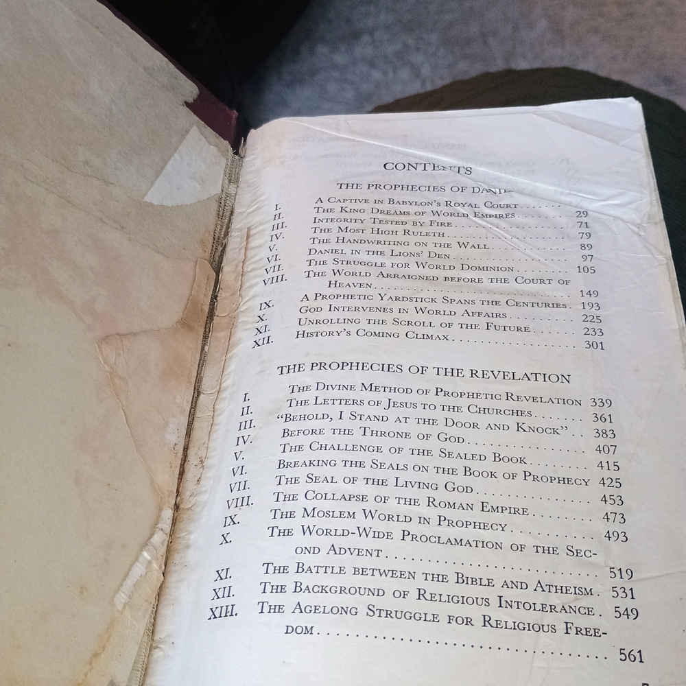 The Prophecies of Daniel and the Revelation Book - Picture 4 of 5